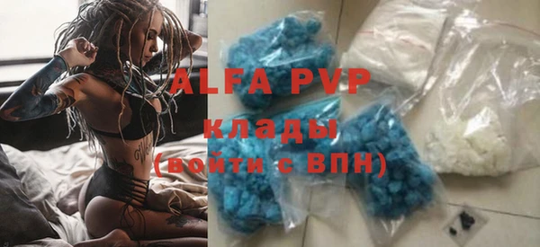 прущие грибы Баксан