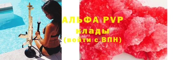 прущие грибы Баксан