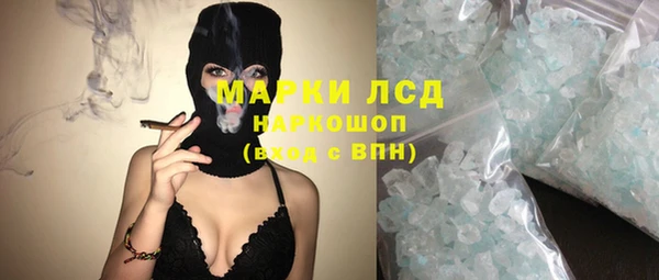 крисы Новозыбков