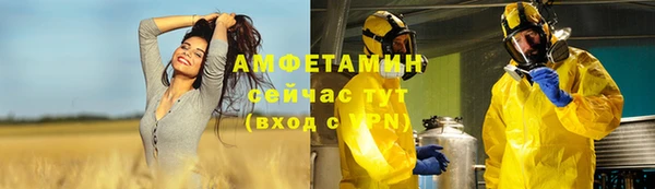 крисы Новозыбков