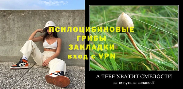 СК Новодвинск