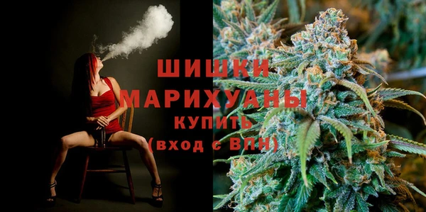 прущие грибы Баксан