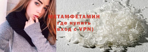 крисы Новозыбков