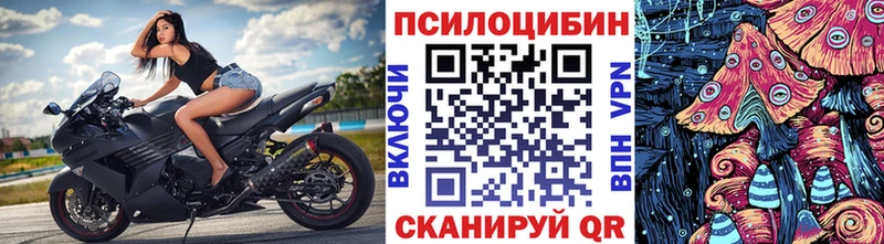 купить наркотик  blacksprut ССЫЛКА  Псилоцибиновые грибы Psilocybe  Усть-Джегута 